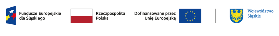 logotypy: Fundusze Europejskie dla Ślaskiego, Flaga Rzeczpospolita Polska, Dofinansowano przez Unię Europeską, Województwo Śląskie
